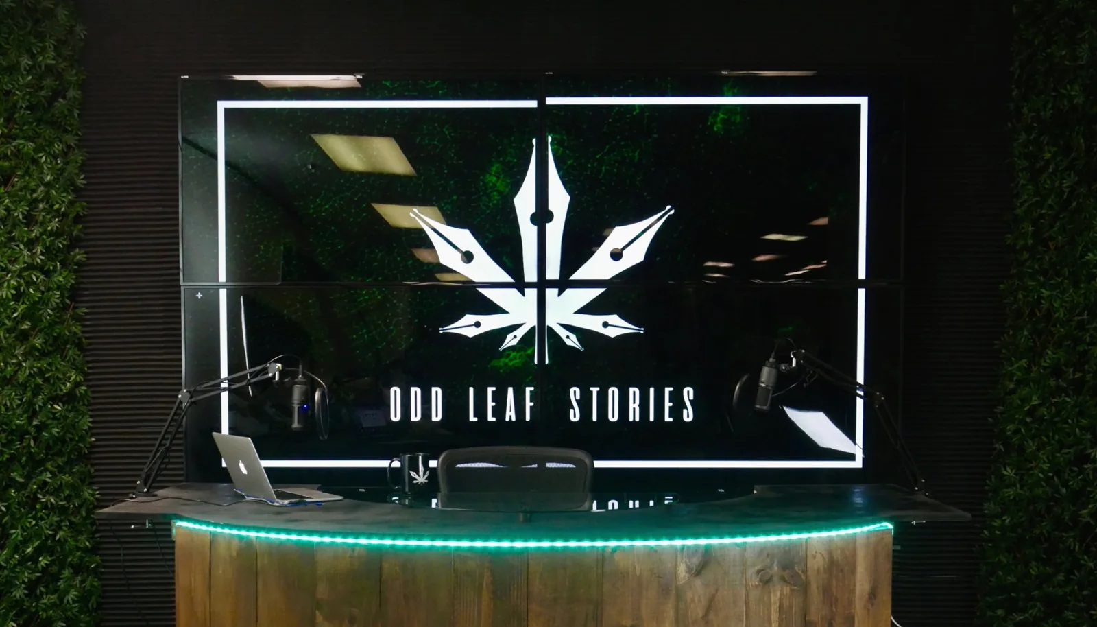 Odd Leaf Stories broadcast studio