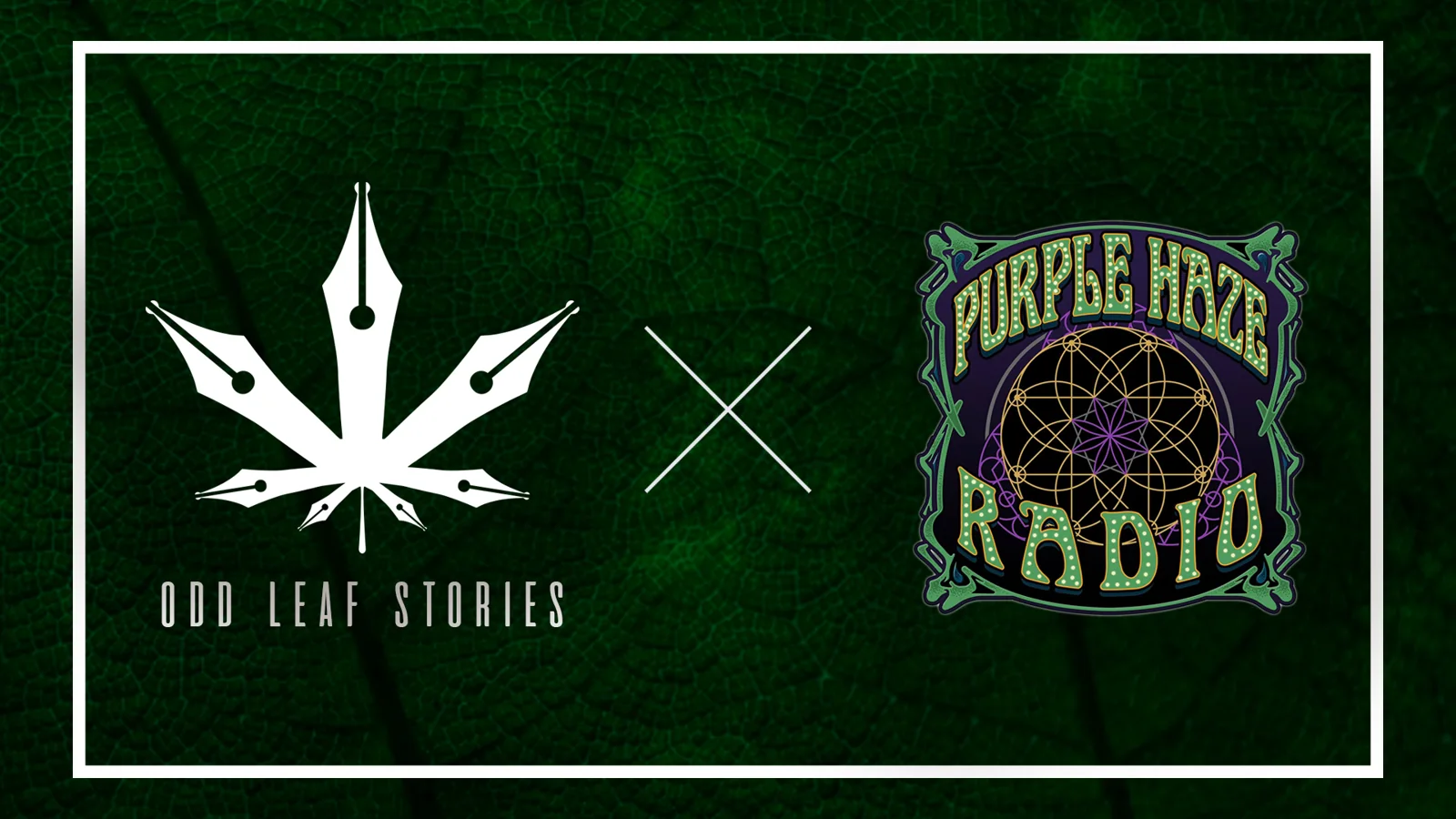 OLS x Purple Haze Radio